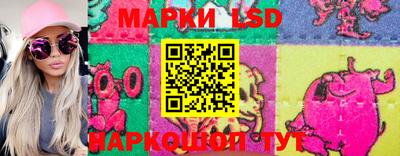 a pvp Новозыбков