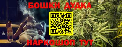 a pvp Новокубанск