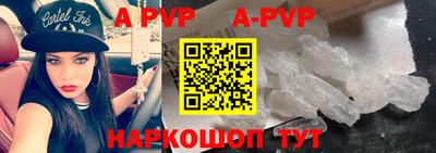 a pvp Новозыбков