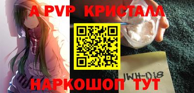 a pvp Новозыбков