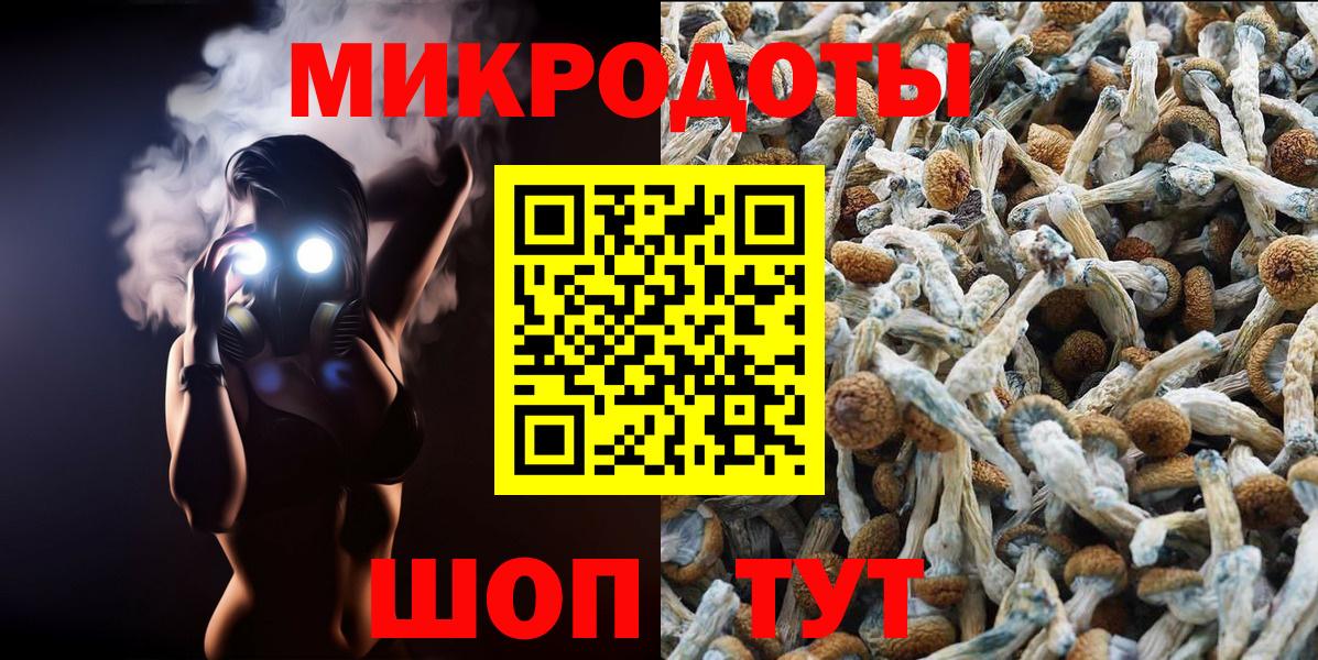 Удомля  Псилоцибиновые грибы прущие грибы  Вход с VPN  Псилоцибиновые грибы Cubensis 