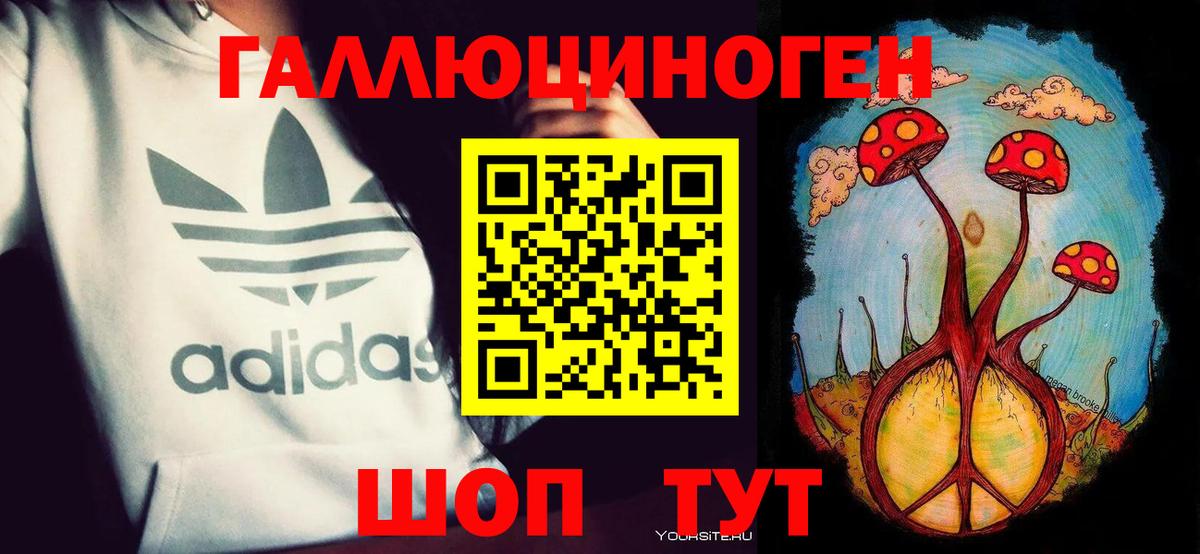 Галлюциногенные грибы Psilocybe Удомля